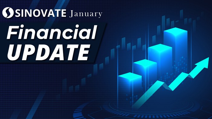 SINOVATE, Ocak 2021 Finansal Bilanço