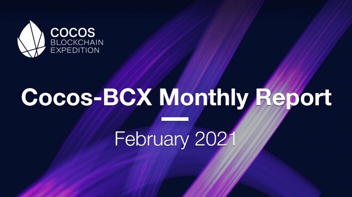 CocosBCX Aylık Rapor – Şubat 2021