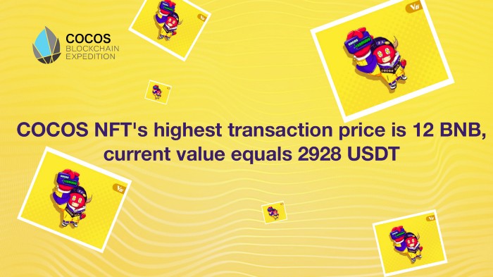 Cocos NFT işlem fiyatının en yüksek 12 BNB Olduğu Tespit Edildi
