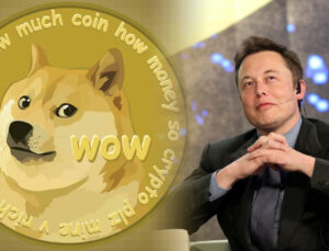 Elon Musk, Ortağının Dogecoin Vakfı ile Bağlantılı Olduğunu Reddetti