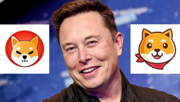 Shiba Inu, Elon Musk’ın Paylaşımı ile Uçuşa Geçti