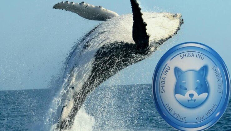 Balinalar Düşük Fiyattan SHIB Almaya Devam Ediyor
