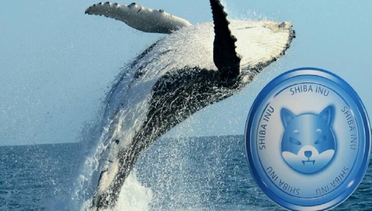 Shiba Inu Balinaları Son 24 Saatte Cüzdanlarına Daha Fazla SHIB Ekledi