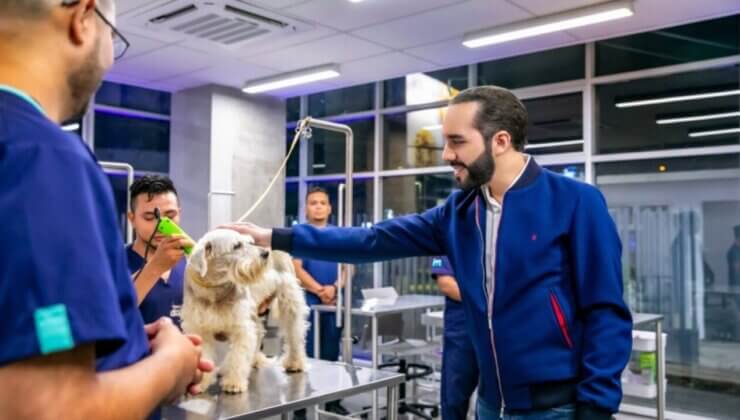 El Salvador, Bitcoin Gelirleriyle Hayvan Hastanesi Açtı