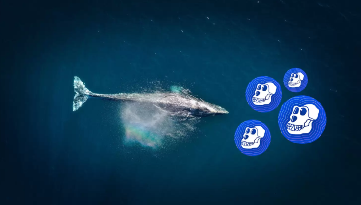 Ethereum Balinaları 6 Milyon Dolardan Fazla APE Token Satın Aldı