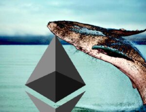 Ethereum Balinaları, ETH’nin En Büyük Rakiplerinden Birini Biriktiriyor
