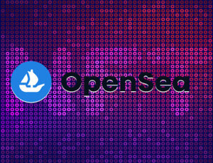 OpenSea Yatırımcısı gCC 110 Milyon Dolar Artırdı