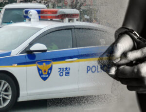 Güney Kore polisi CatSle NFT’den 165.000 dolar çalan adamı tutukladı