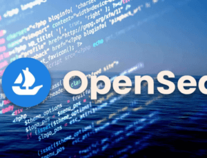 Opensea Discord, Kimlik Avı Bağlantısı Kullanılarak Saldırıya Uğradı