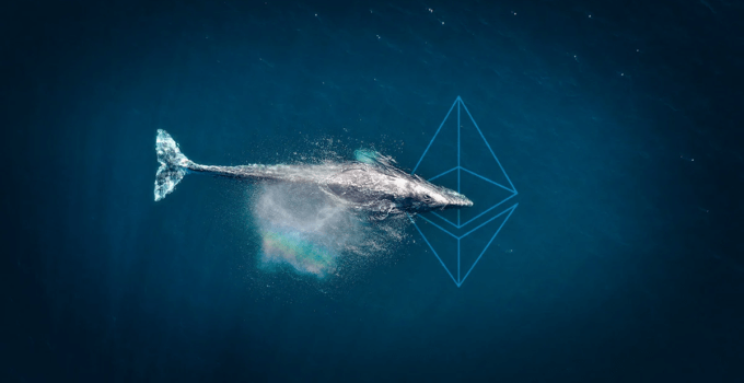 Whalestats’a Göre Balinalar Beş Ethereum Tabanlı Altcoin Biriktiriyor