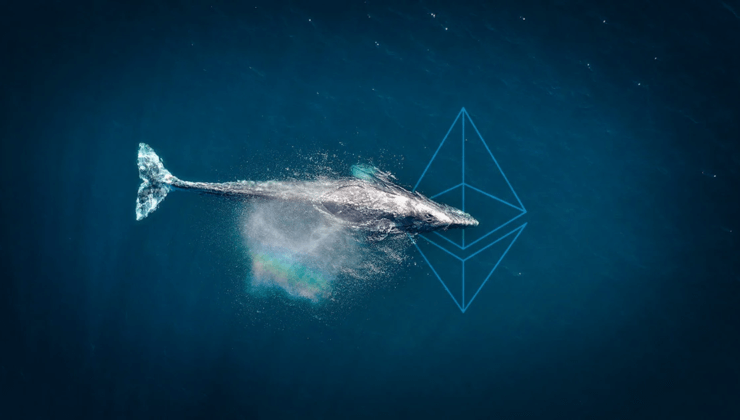Whalestats’a Göre Balinalar Beş Ethereum Tabanlı Altcoin Biriktiriyor