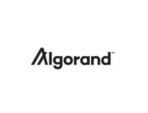 Algorand Yükselişte Fakat Kullanıcılar Nerede?