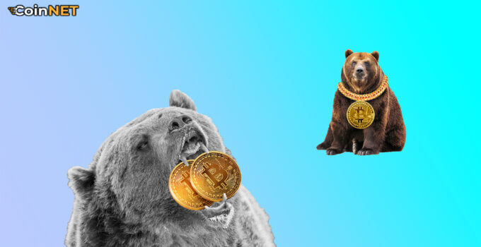 Hedge Fon Kurucusu Bitcoin (BTC) Hakkındaki Görüşlerini Paylaştı
