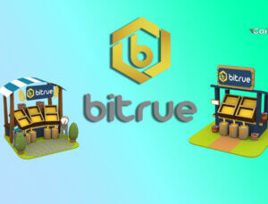Bitrue Kullanıcı Güvenliği ve Avantajları