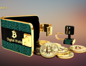 1 Milyonun Üzerinde Adres Minimum 1 Bitcoin Tutuyor!