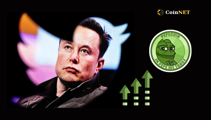 Elon Musk Etkisi ile PEPE Fiyatı %50’nin Üzerinde Arttı