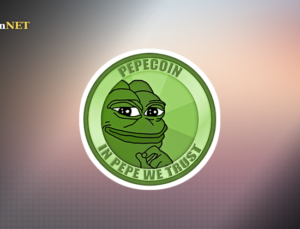 ABD Yatırım Devi Yüklü Miktarda PEPE Çekti