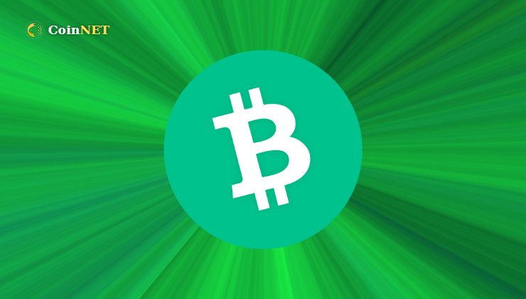Bitcoin Cash (BCH) Günlük Hacimde Kayda Değer Artış Kaydetti