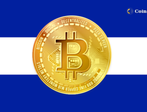 El Salvador Bitcoin City Havalimanında İlerleme Kaydediyor