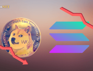 DOGE ve SOL Kripto Borsası Davalarının Ardından Düşüş Yaşadı