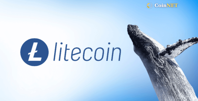 Litecoin Balina İşlemlerinin Artmasıyla 95 Doları Aştı