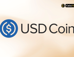 USDC Ethereum Ölçeklendirme Çözümü Üzerinde Piyasaya Sürülüyor