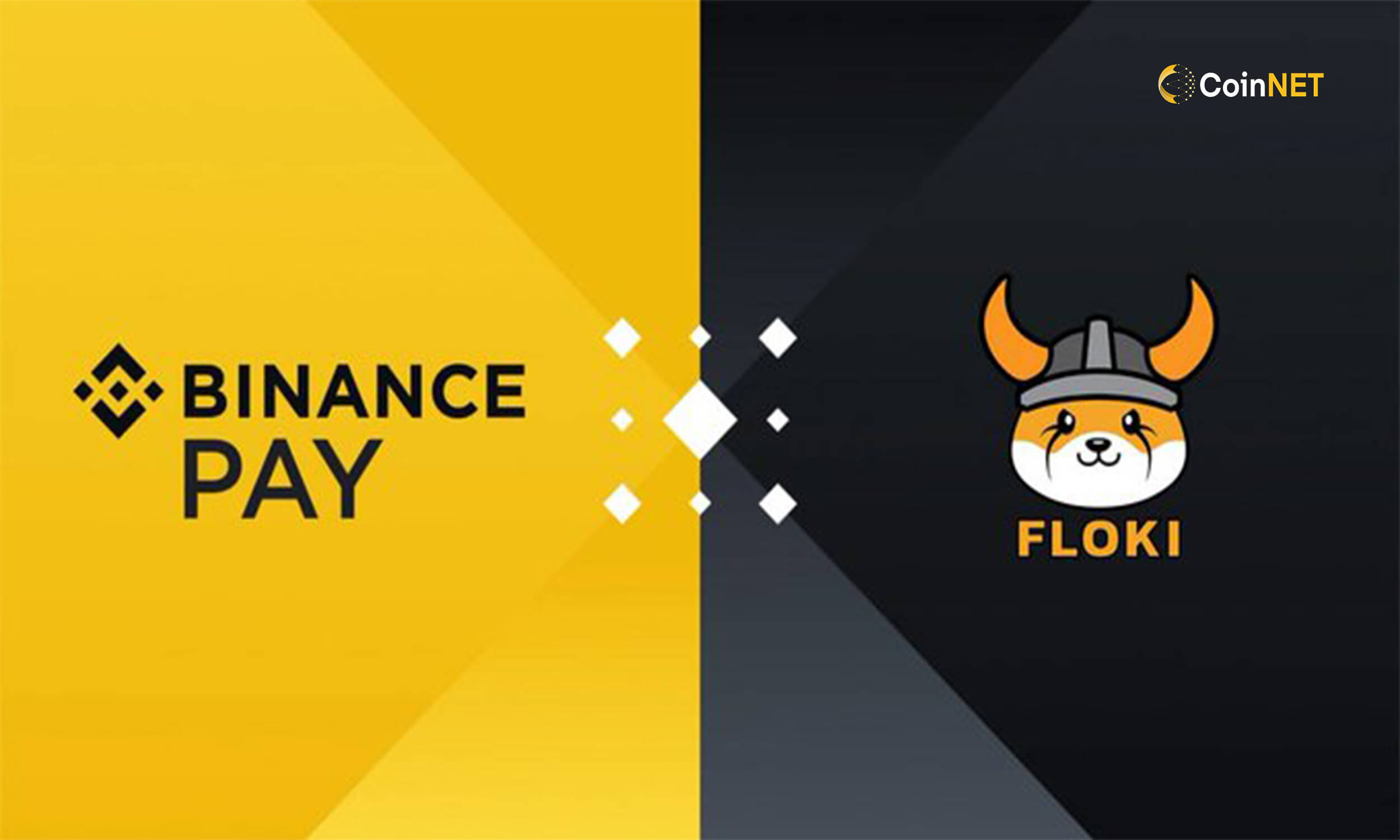 Floki Coin Binance