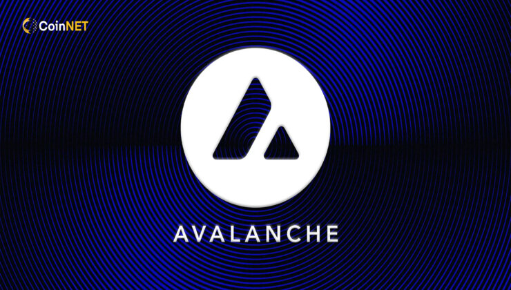 Avalanche Vakfı, 50 Milyon Dolarlık Avalanche Vista’yı Tanıtıyor
