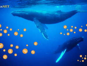 Balinalar Stablecoin Biriktiriyor, Gözleri Önde Gelen Kripto Paranın Fiyat Aralığında