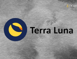 Terra ‘nın Yeni CEO’su Kripto Para Dünyasında Oyun Değiştirici Oluyor