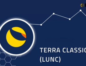 Terra Classic Geliştiricileri Güvenliği Artırmak İçin Hata Ödül Programı Öneriyor