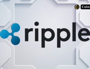 RippleX, XRP Ledger DeFi ile İlgili Etkileyici Güncellemeyi Paylaştı!