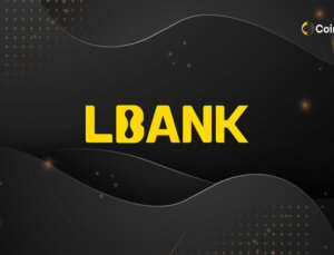 LBank İkinci Launchpad Projesi MetaExpand’i (UMM) Duyurdu