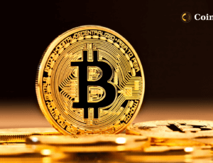 Bitcoin 26 Bin Dolar Desteğini Korurken Balina Adresleri Artıyor