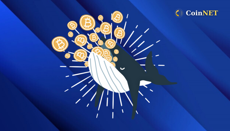 Bitcoin Fiyatı Sabit Kalırken Balinalar Birikim Eğilimi Gösteriyor!
