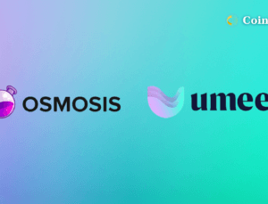 Osmosis ve Umee Önemli Bir Güncellemeyle Birleşecek! Detaylar