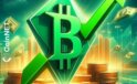 Bitcoin Cash Analiz: BCH Fiyatı Çift Haneli Yükseliş Gösterdi