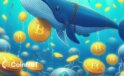 Kripto Balinaları, Düşüşte BTC ve ETH Toplamaya Devam Ediyor
