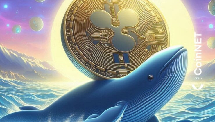 Ripple Balinaları, Elindeki 151 Milyonluk Tokeni Yerinden Oynattı