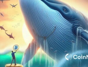 10 BTC Tutan Balinalar, Son İki Yılın Zirvesine Yerleşti