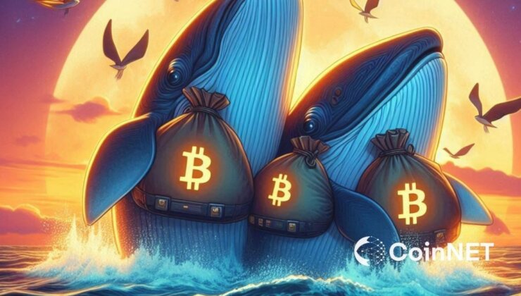 Balinaların Cüzdanı BTC İle Doldu: İki Ayın Zirvesi Görüldü