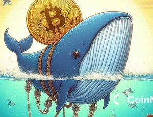 Bitcoin Balinaları, Dip Satın Almayı Sürdürüyor: Momentum Değişecek Mi?
