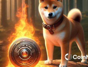 Shiba Inu Yeni Özellik: Shibarium Otomatik Yakma Geliyor