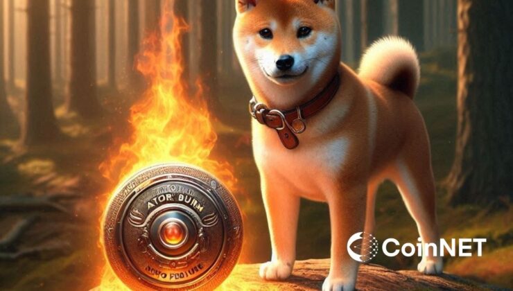 Shiba Inu Yeni Özellik: Shibarium Otomatik Yakma Geliyor