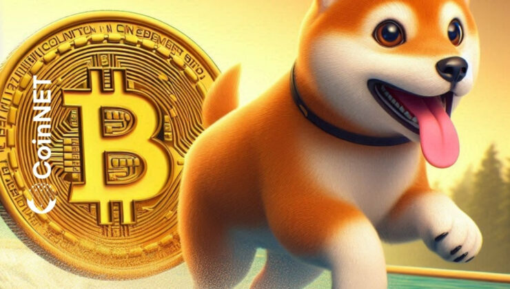 Shiba Coin, Potansiyel Yükselişle Bitcoin’i Geride Bırakabilir Mi?