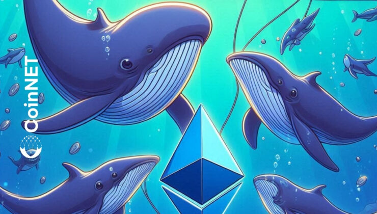 Ethereum Balinaları, Fiyat Artışında Farklı Pozisyon Alıyor