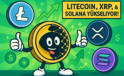 Litecoin, XRP ve Solana ETF’leri İçin %95 Onay İhtimali: Bloomberg Analistlerinden 2025 Tahmini